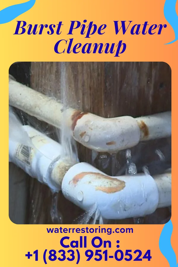 Burst Pipe Water Cleanup in White Salmon, WA