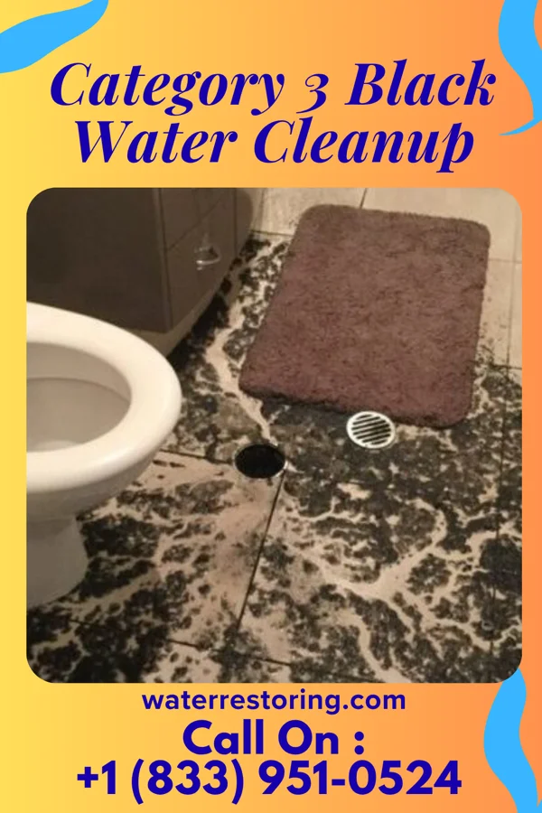 Category 3 Black Water Cleanup in White Salmon, WA