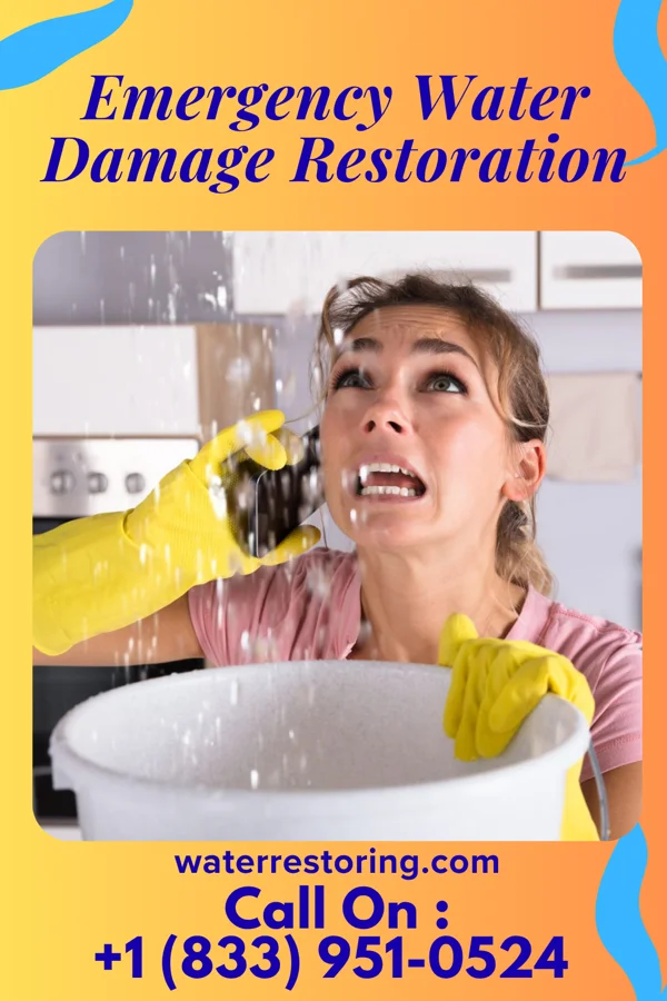 Emergency Water Damage Restoration in White Salmon, WA