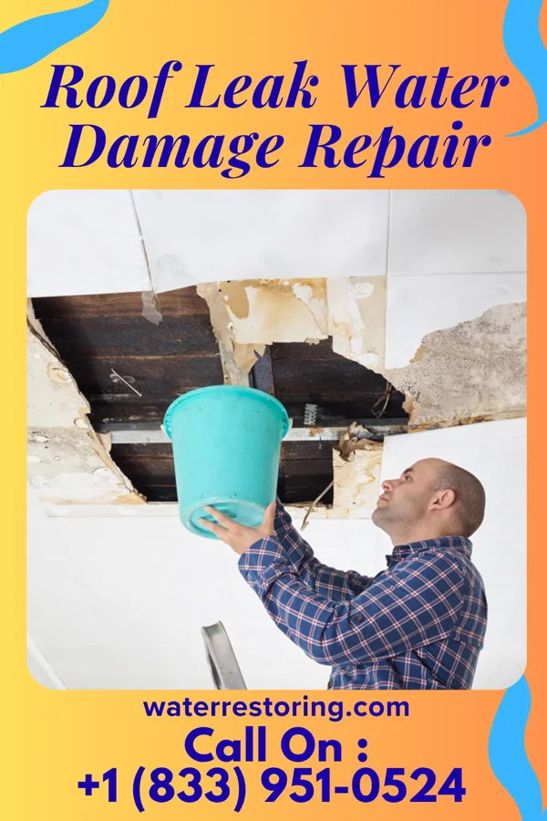 Roof Leak Water Damage Repair in White Salmon, WA