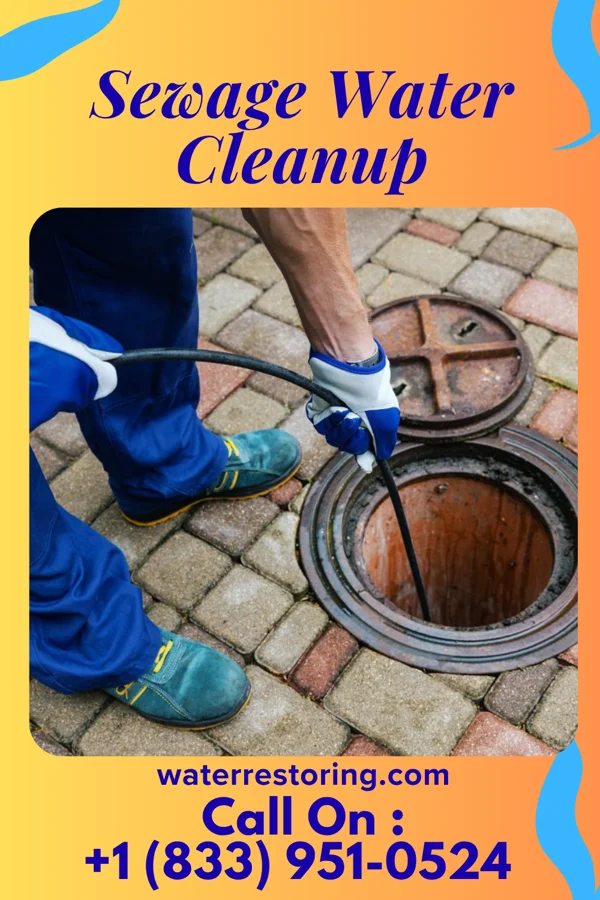 Sewage Water Cleanup in White Salmon, WA